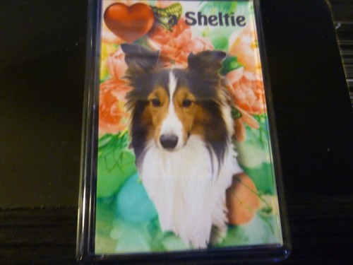 Sheltie dog fridge - sheltie, magnet
