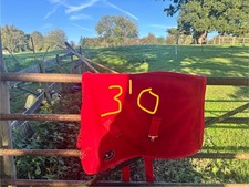 3’0” Shetland Pony Fleece