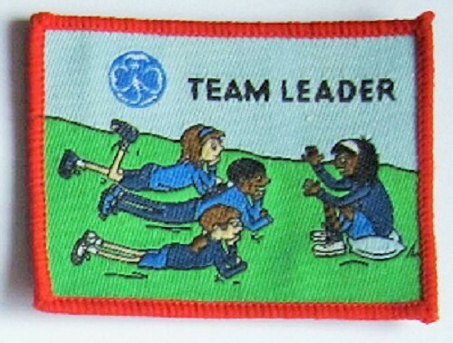 Girl guide interest badge - girl,
