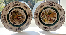 Vintage Wood & sons Ascot pair service/dinner plates 10 1/2" excellent condition