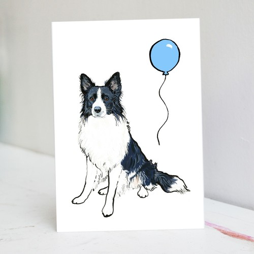 Border collie birthday - border,