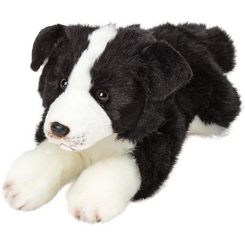 Resting border collie - resting,