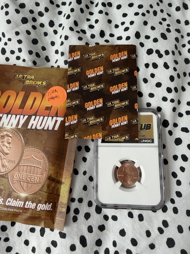 Golden penny hunt - golden,