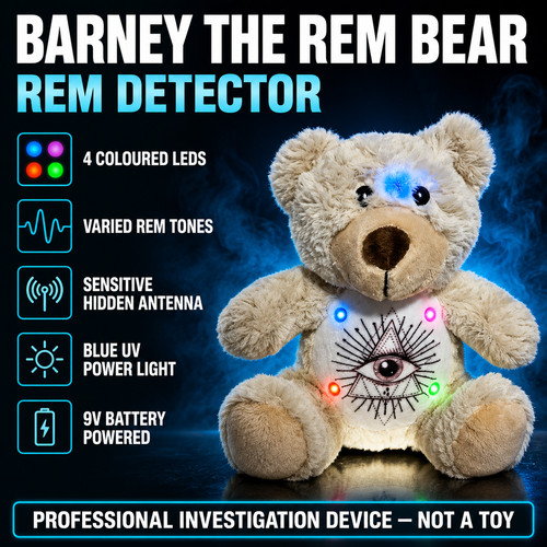 Rem bear teddy - barney, toy