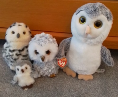 Owl who was afraid - afraid, the