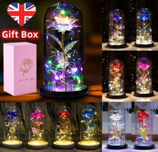 Galaxy Forever Rose Flower LED Light Mothers Day Gifts Birthday Gifts for Women