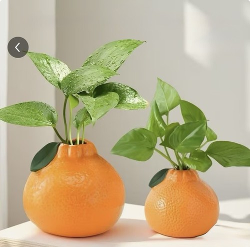 Orange shaped hydroponics - shaped,