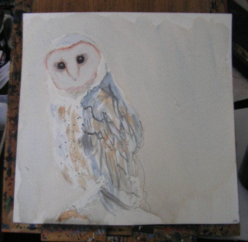 Owl small original - -,