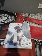 Sausage Dog Fun Canvas 41cm ×