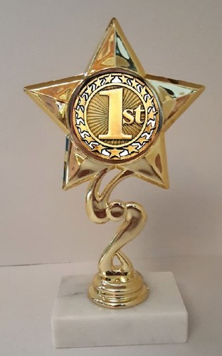 1st place trophy tall as - trophy,