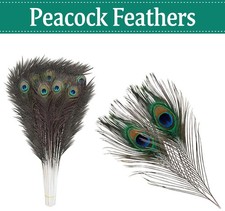 10–100x Natural Long Peacock