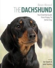 Dachshund Best of Breed: Your