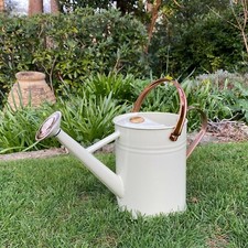 Watering Can Metal Indoor &