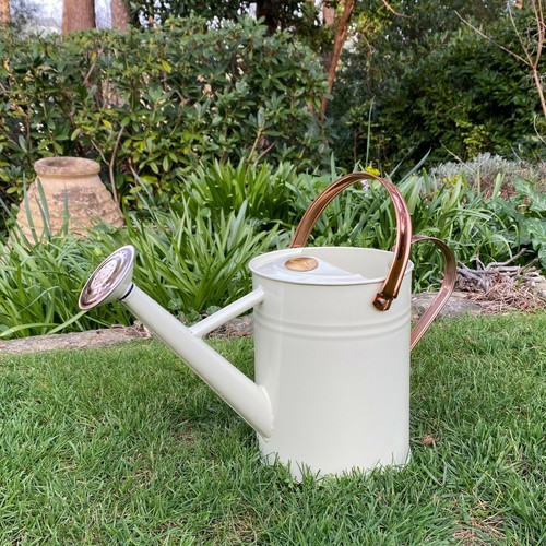 Watering can metal indoor - watering, &