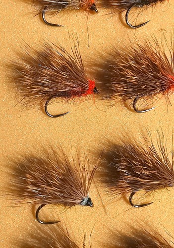 Sedges trout flies size x - size, 12