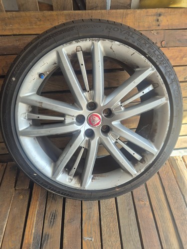 Jaguar x250 8 - xf, selena