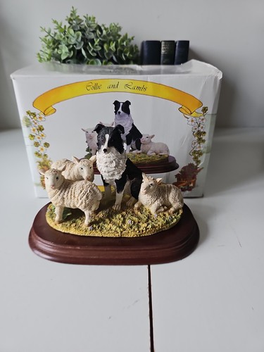Leonardo border collie - border,