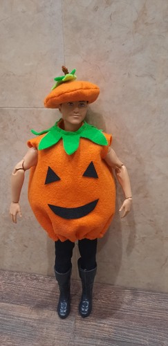 Halloween costume for ken - halloween,