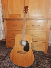 Acoustic Guitar Cgiant Full Size Dreadnaught