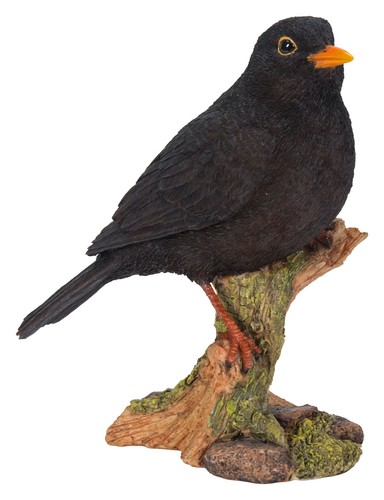 Blackbird lifelike garden - blackbird,