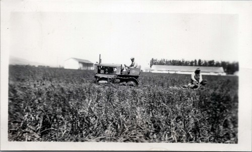 1930s photo japanese - 1930s,,