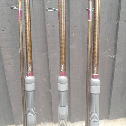 Harrison torrix 12ft 75lb - 12ft, 2.75lb