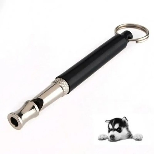 Ultrasonic silent recall - silent,