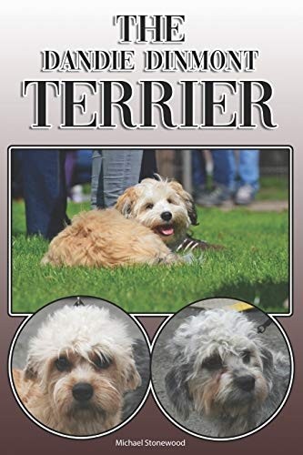 The dandie dinmont terrier - dinmont, terrier: