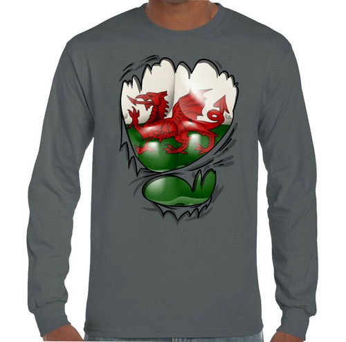 Torn ripped welsh flag - welsh,