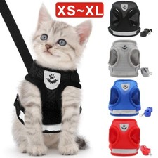 Cat Harness and Lead