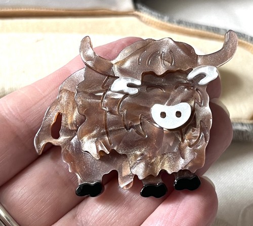Very cute highland cow - cute, brown