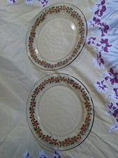 Vintage Arby's Green Holly