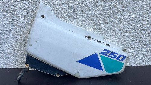 Honda 250 left cover - left,