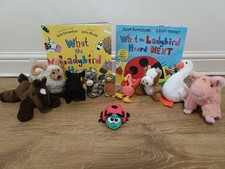 What the Ladybird Heard Story Sack EYFS Teaching Resource