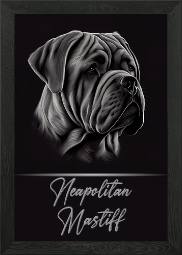 Neapolitan mastiff framed - neapolitan,