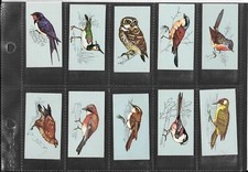 TETLEY TEA - BRITISH BIRDS - 1970 - NO. 22  LONG TAILED TIT - RARE CARD