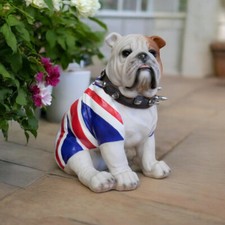 Sitting British Bulldog Union