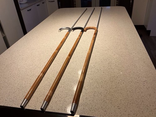 Walking stick - walking,