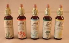 Bach Flower Remedies 20ml. All 38 Remedies from the Original Company of Dr Bach