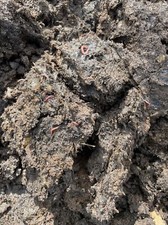 Horse Manure Compost
