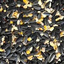 Blue tit seed mix - blue,