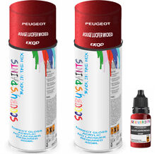 For Peugeot Spray Paint