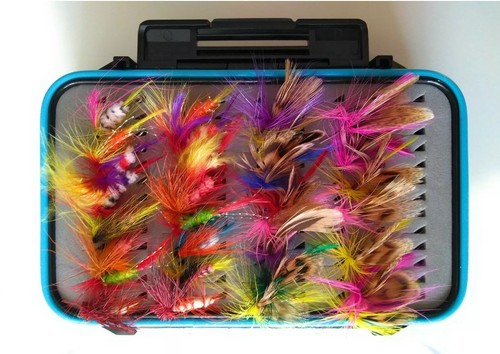 Trout salmon fly - salmon,