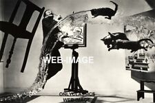 SALVADOR DALI  "THE FLYING CAT" SURREAL ARTIST WILD REAL PHOTO ABSTRACT ART ICON