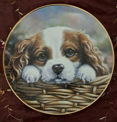 Danbury mint take home - mint, 'take