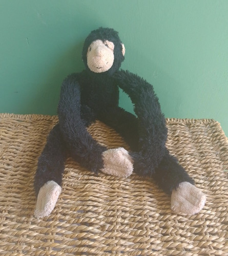 Monkey with long hands and - hands,