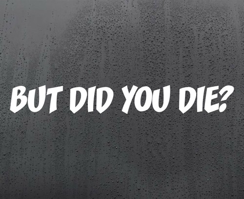 But did you - did, vinyl