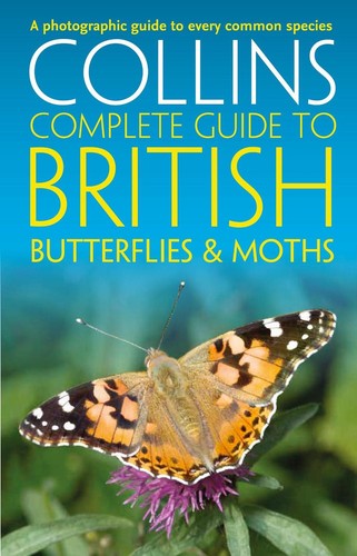 British butterflies and moths - british,