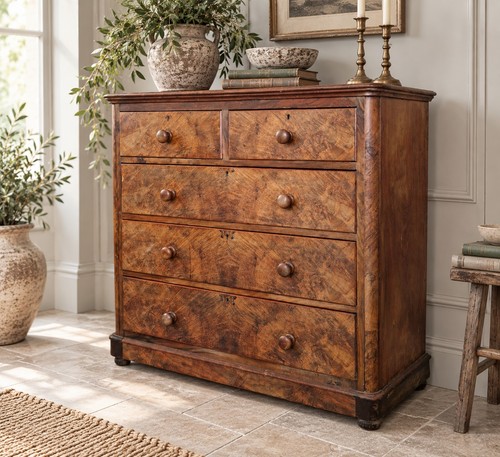 Victorian burr walnut chest - burr,