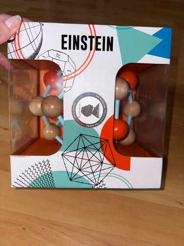 Albert einstein giant - einstein's,